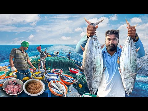 Amazing🤩 Our First Day We Stay In The Deep Sea And Caught Ton Of Tuna Fishes | Day-01 | S06-EP01