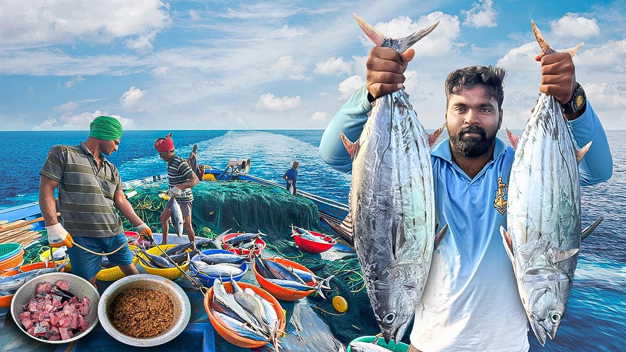 Amazing🤩 Our First Day We Stay In The Deep Sea And Caught Ton Of Tuna Fishes | Day-01 | S06-EP01