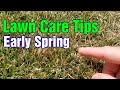 Early Spring Lawn Care Tips: What To Do First, Second, & Third