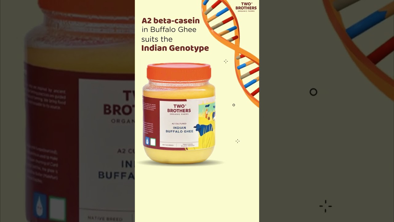 India's healthiest Buffalo Ghee | Two Brothers