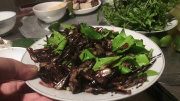 Tôm rừng Lạng Sơn