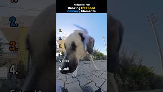 Ranking Pet Food Delivery Moments (Part 2) 💀 #usa