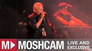 Icehouse - Hey Little Girl   (Live in Sydney) | Moshcam chords
