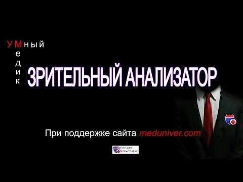 Видео: Функция, анатомия и схема зрительного тракта - Карты тела