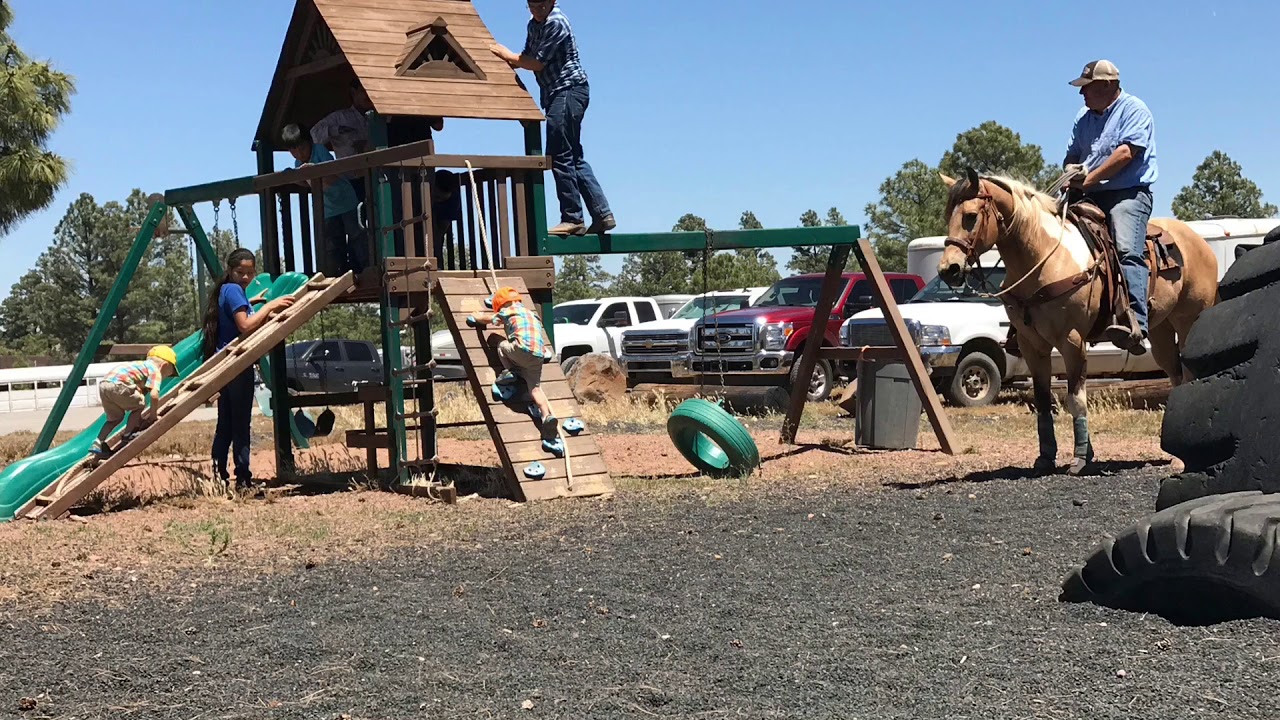 Team roping gelding AZ Head, heel, ranch, kid & all around YouTube