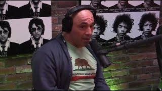 Joe Rogan Talks Tiger Schulmann’s Martial Arts