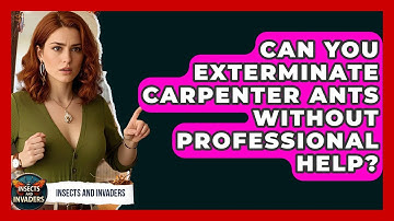 Can You Exterminate Carpenter Ants Without Professional Help? - Insects and Invaders