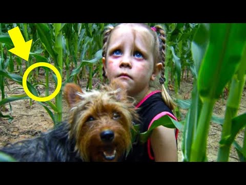 Volunteers Find Missing Girl—But What She Was Hiding From Shocked Everyone