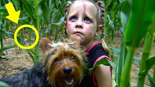 Volunteers Find Missing Girl—but What She Was Hiding From Shocked Everyone