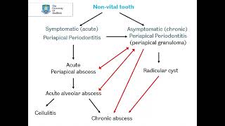 Periapical pathology Part 1