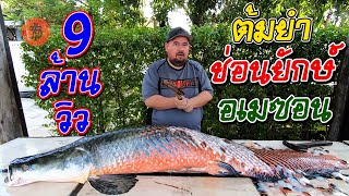 TomYum Arapaima gigas