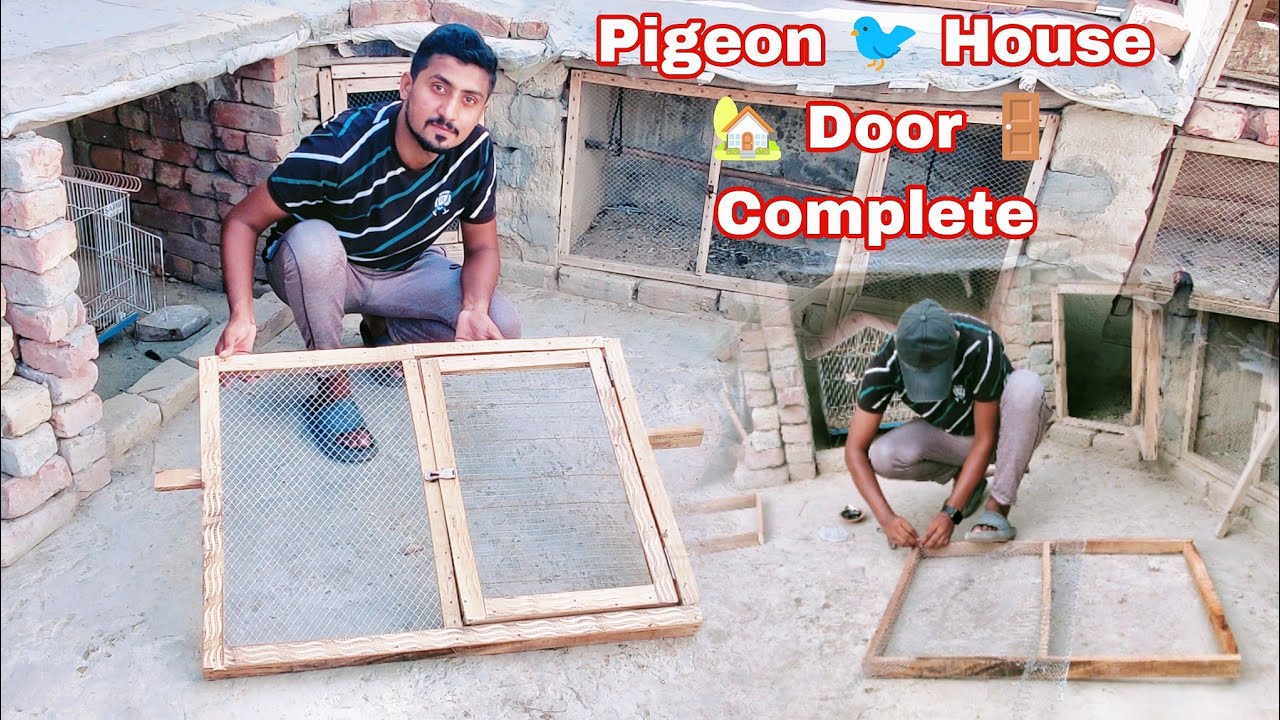How To Make A Birds Cage Door 🚪 Aseel Cage Door 🚪 Pigeon 🐦 Cage