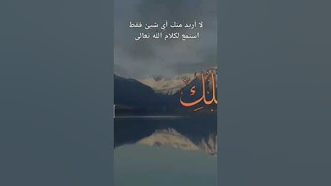 تلاوة هادئة تهدي النفوس  لسورة القيامة بصوت القارئ إسلام صبحي