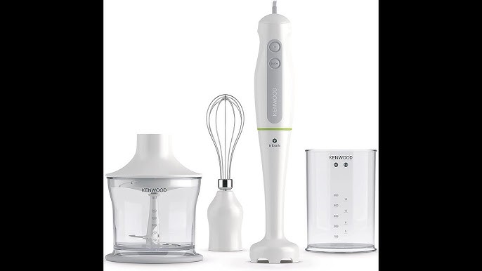 MultiQuick 1 Hand blender MQ 100 Soup