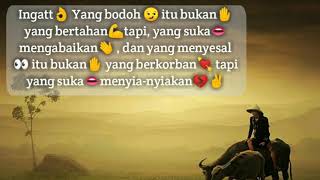 Story Wa Terbaru 2019 Keren Kekinian Hits - Snap wa terbaru hits - status wa terbaru kekinian