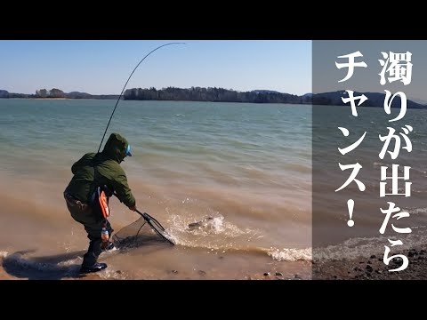 北海道　シュマリナイ　朱鞠内湖　イトウ　ポスター　希少　美品　手渡し(関東) 北海道 シュマリナイ 朱鞠内湖 イトウ ポスター 希少 美品