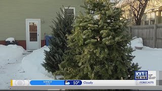 Reusing Christmas Trees