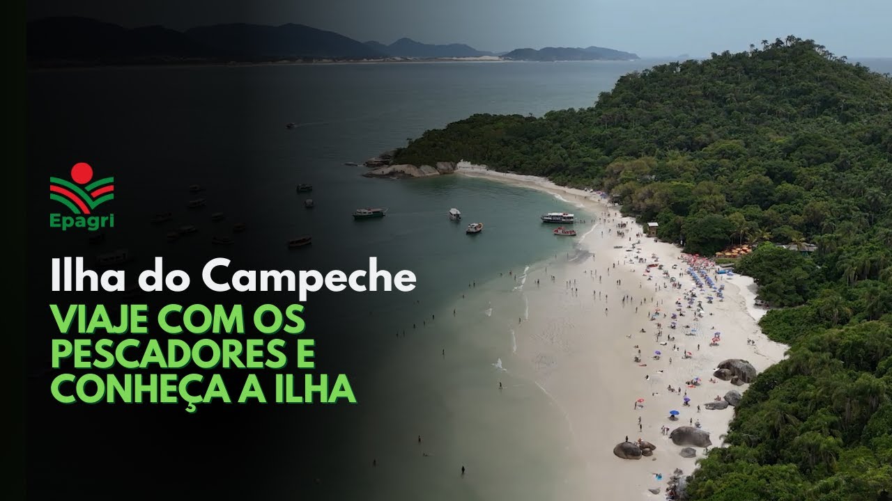 Ilha do Campeche: viaje com os pescadores e conheça a ilha
