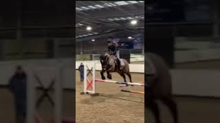 Last week at ￼Reaseheath ✨🐴