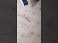 皮膚の中にいた部分長っ！#plucking #tweezers #hairremoval #satisfying #毛抜き #blackheads #ingrownhair #pimple