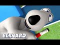 Медведь Бернард | День спорта и многое другое | Мультфильмы для детей | Полные серии