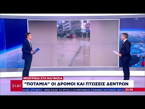 Πτώσεις δέντρων και