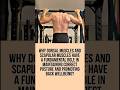 Back Training for better posture and well being | 5 TIPS for your health #shorts #backpain
