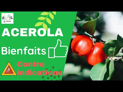 ACEROLA : BIENFAITS ET CONTRE INDICATION II BecTherapy