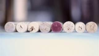 Habersham Winery in 30 Seconds