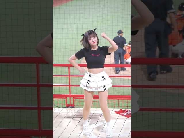 群群 朱育賢應援曲 Dragon Beauties 新光人壽小龍女 味全龍啦啦隊 天母棒球場 20260529