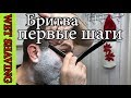 💈  Опасная Бритва: Бритва для начинающих, первые шаги к правильному бритью