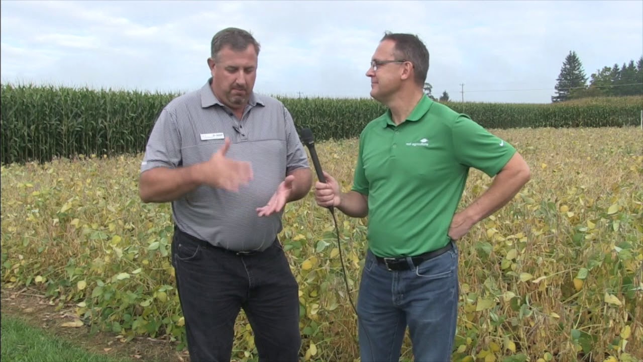 Soybean School: Harvest Management