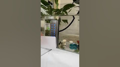 The Waterproof show of Arcreat Access Control