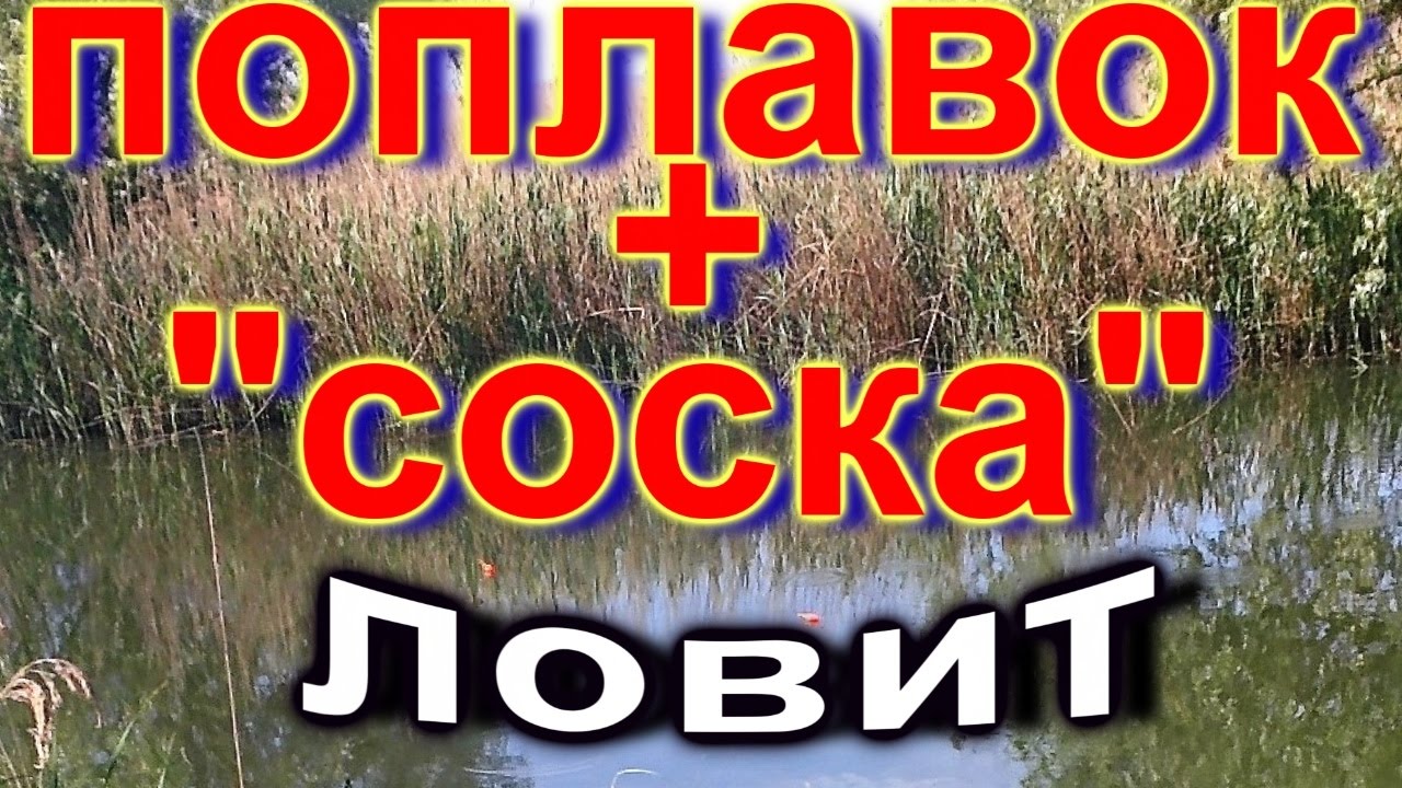 ЭТА СНАСТЬ, не боится ветра и ряби - поплавок и пружина, очень УЛОВИСТАЯ СНАСТЬ