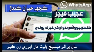WhatsApp Tips and Tricks | How To Delete everyone Any Old Massage In Sindhi screenshot 1