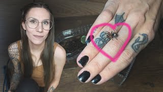 CUTEST MINIATURE TARANTULA tries new MINI COFFIN enclosure ♥ C elegans