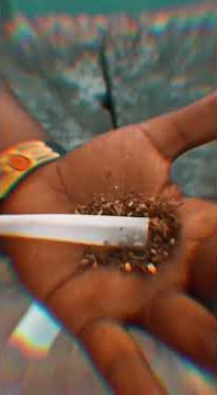 Ganja lover