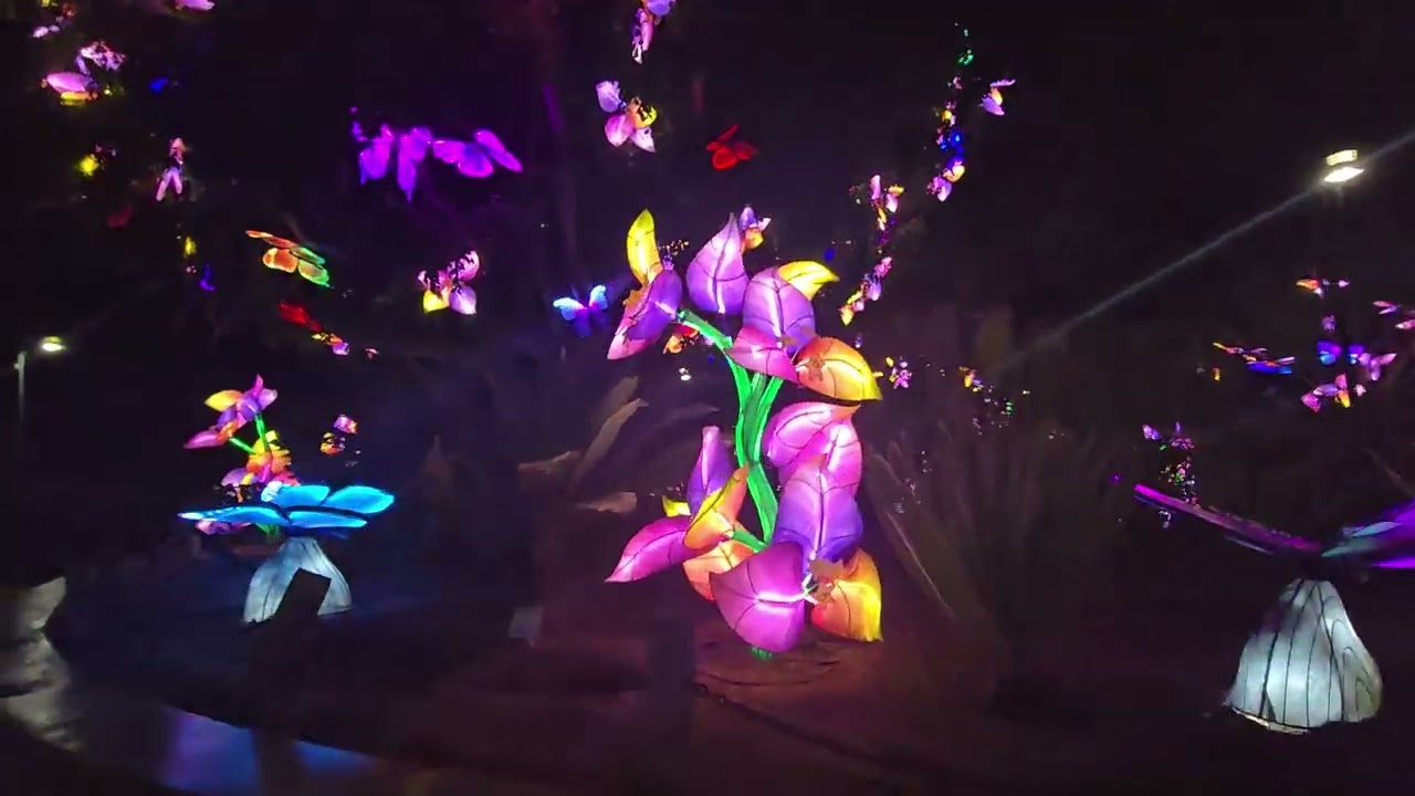 Pollinators Paradise at LA Zoo Lights Animals Aglow 2024