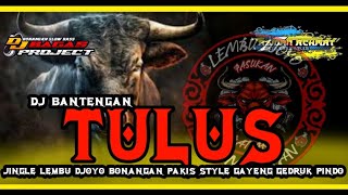 DJ BANTENGAN ❗❗ TULUS JINGLE (LEMBU DJOYO) REMIXER BY DJ BAGAS PROJECT