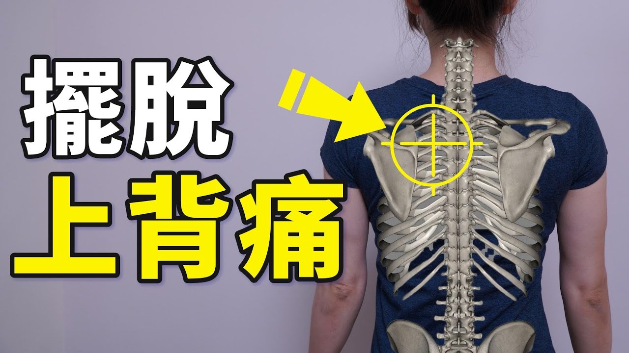 膏肓痛、上背痛總是消不掉?「反向動作」原理讓你大幅改善上背痠痛|啾c物理治療師 - YouTube