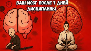7 простых упражнений для тренировки мозга — Путь самурая к концентрации и памяти