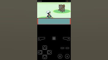REGIROCK Pokémon Cheat Code For Pokémon Emerald