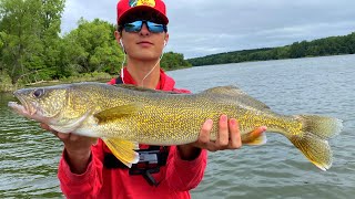 Lake Belwood RECORD BREAKING WALLEYE + Bass Fishing (The Grand River)
