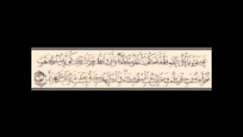 الشيخ جمال محرم وما تيسر من سورة التحريم