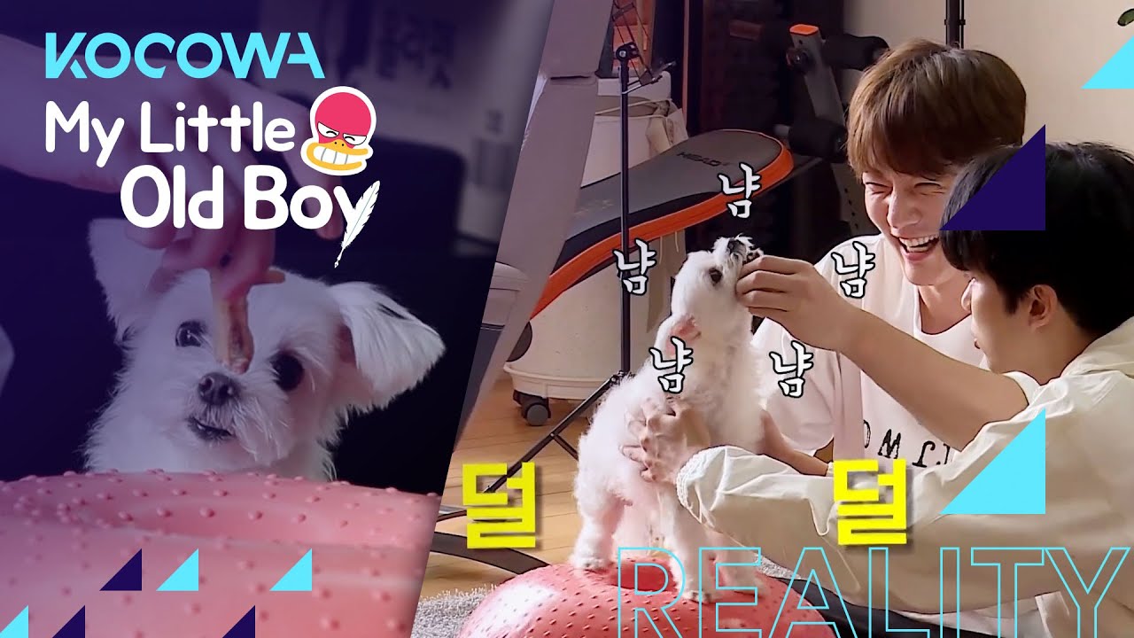 Choi Jin Hyuk lures Mongsil to exercise [My Little Old Boy Ep 245]