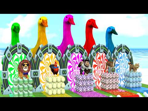 5 GIANT DUCKS and Friends Cross the Famous Fountain in EPIC Animation #117