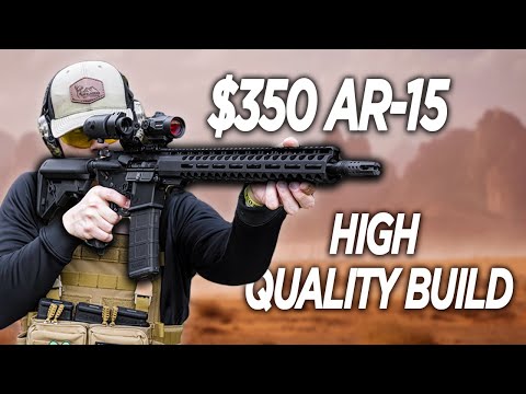 AR-15 RIFLE FOR $350 IN 2022?! (REVIEW AND HOW TO!)