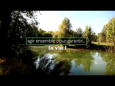 Adaptation au changement climatique - Agence de l'eau Rhin-Meuse