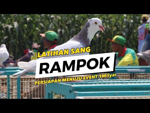 PERSIAPAN RAMPOK MENUJU EVENT 1 Milyar, DI LAPAK PADEL INDEPENDENT ...