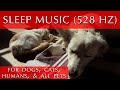 Sleep music for dogs cats and all pets 528 hz  love and healing